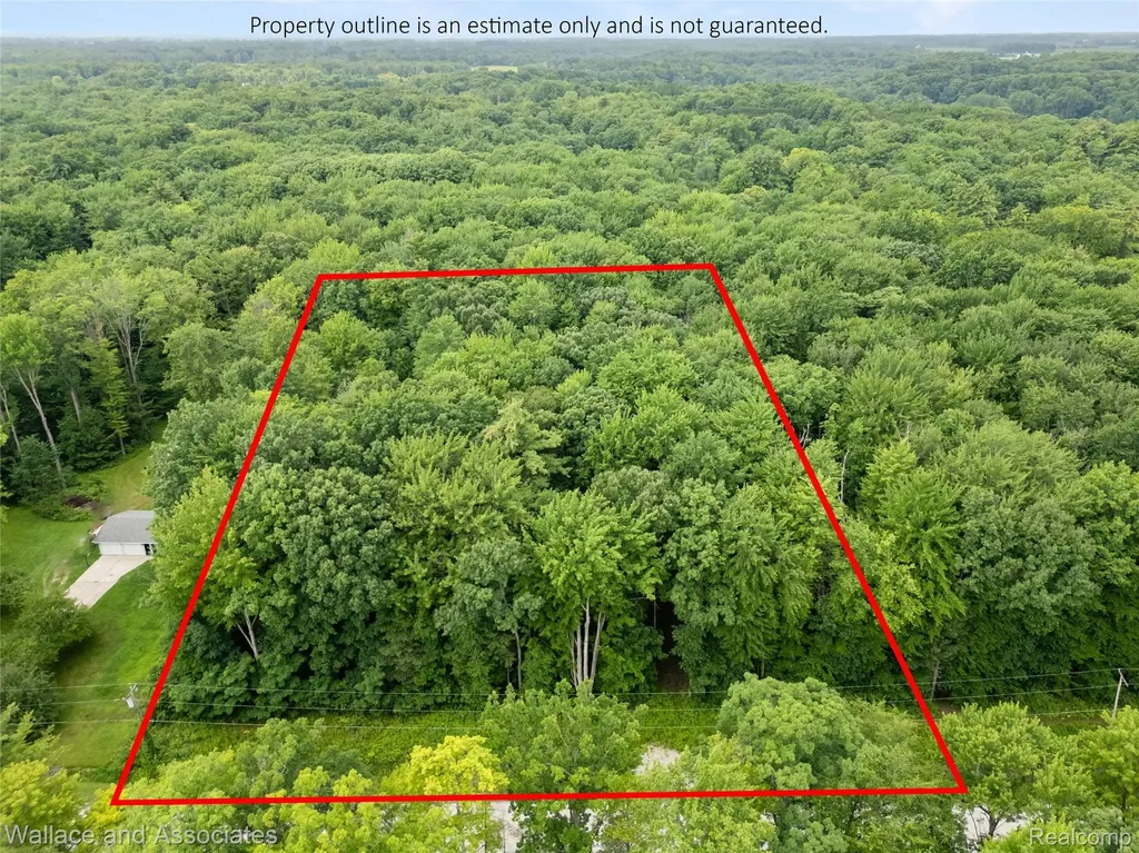 V/l Rabidue Road Clyde Township MI 48049