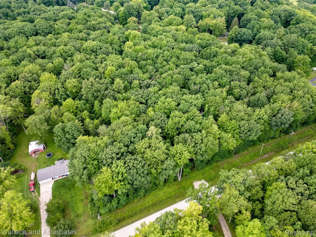 V/l Rabidue Road Clyde Township MI 48049
