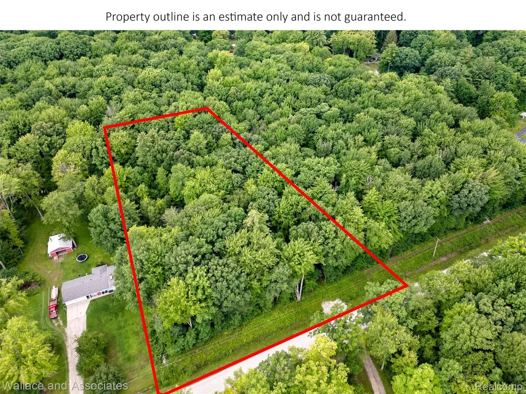 V/l Rabidue Road Clyde Township MI 48049