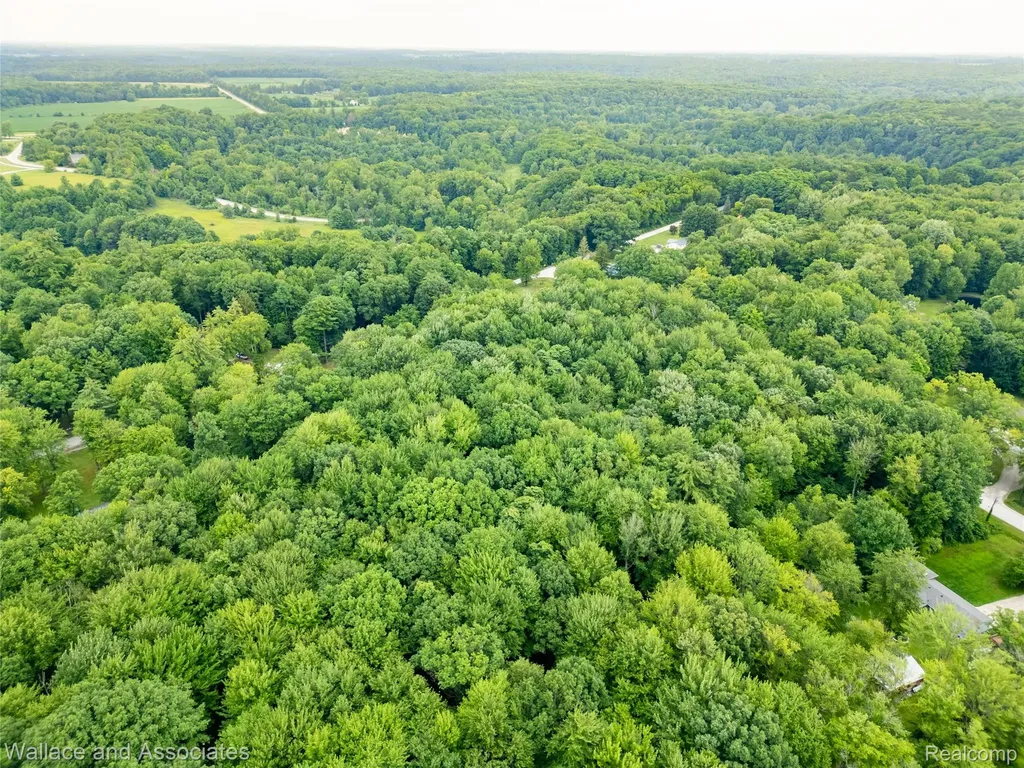 V/l Rabidue Road Clyde Township MI 48049
