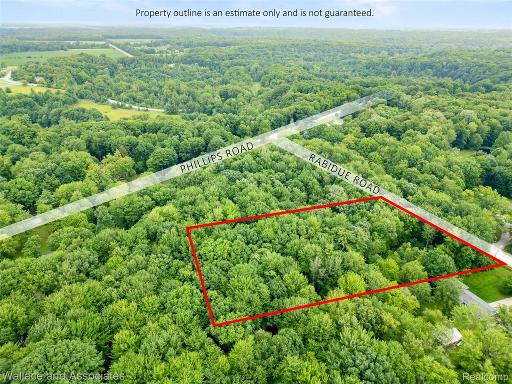 V/l Rabidue Road Clyde Township MI 48049