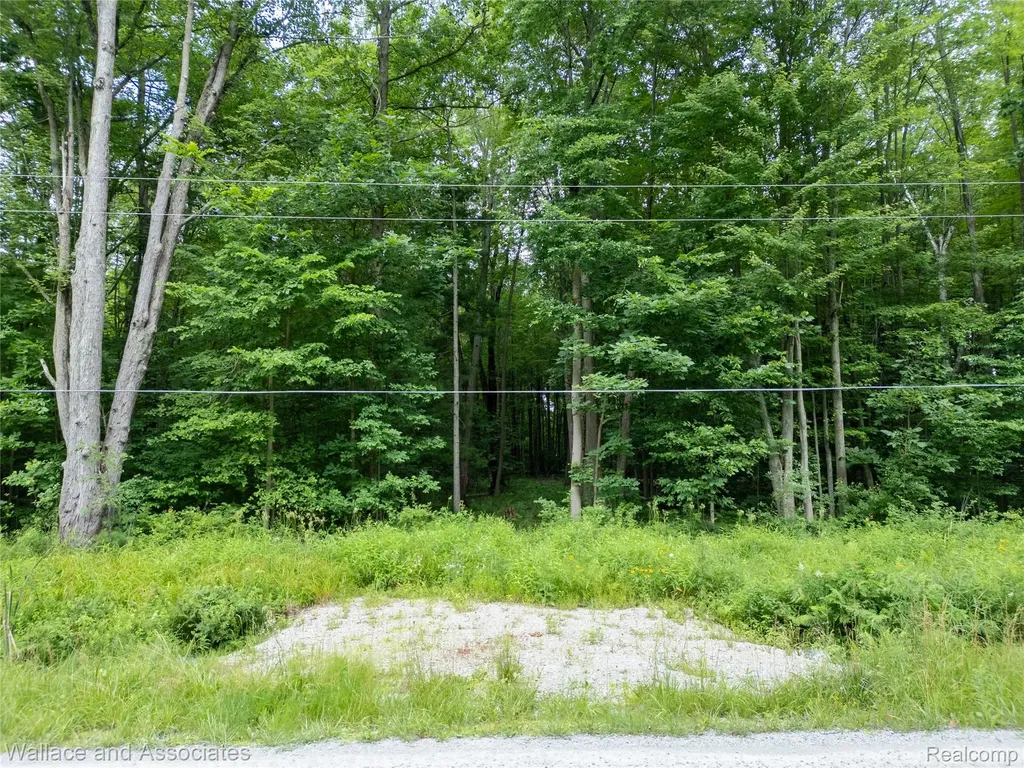 V/l Rabidue Road Clyde Township MI 48049