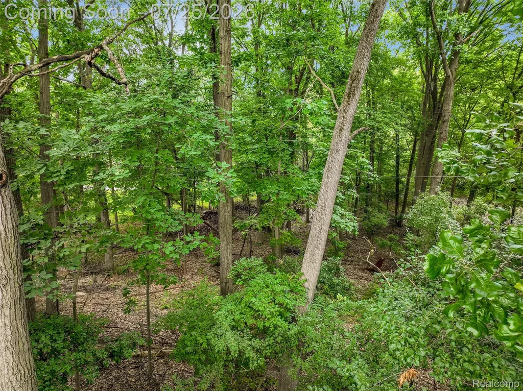24800 N Cromwell Drive Franklin Village MI 48025