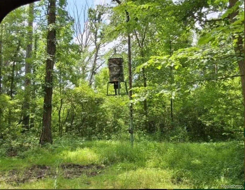 2040 Golf Course Road Clay Township MI 48028