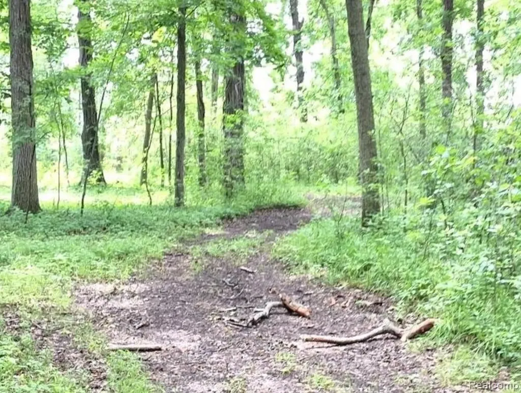 2040 Golf Course Road Clay Township MI 48028