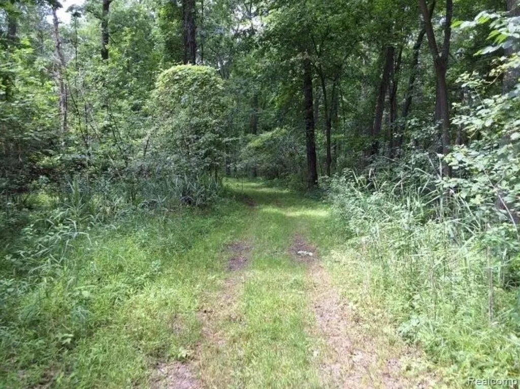 2040 Golf Course Road Clay Township MI 48028