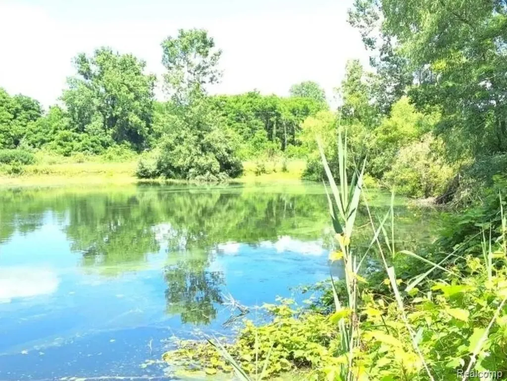 2040 Golf Course Road Clay Township MI 48028