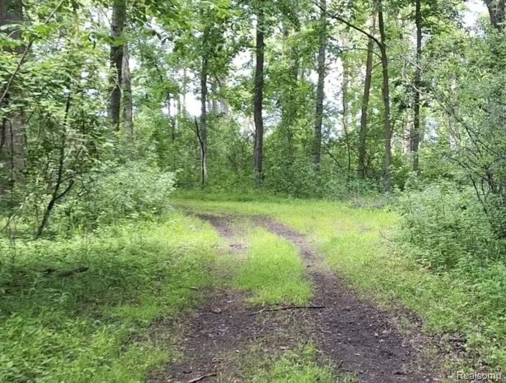2040 Golf Course Road Clay Township MI 48028