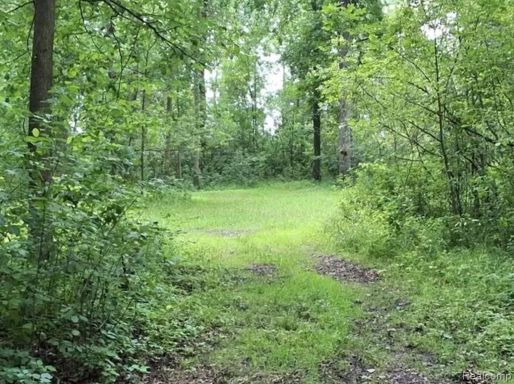 2040 Golf Course Road Clay Township MI 48028