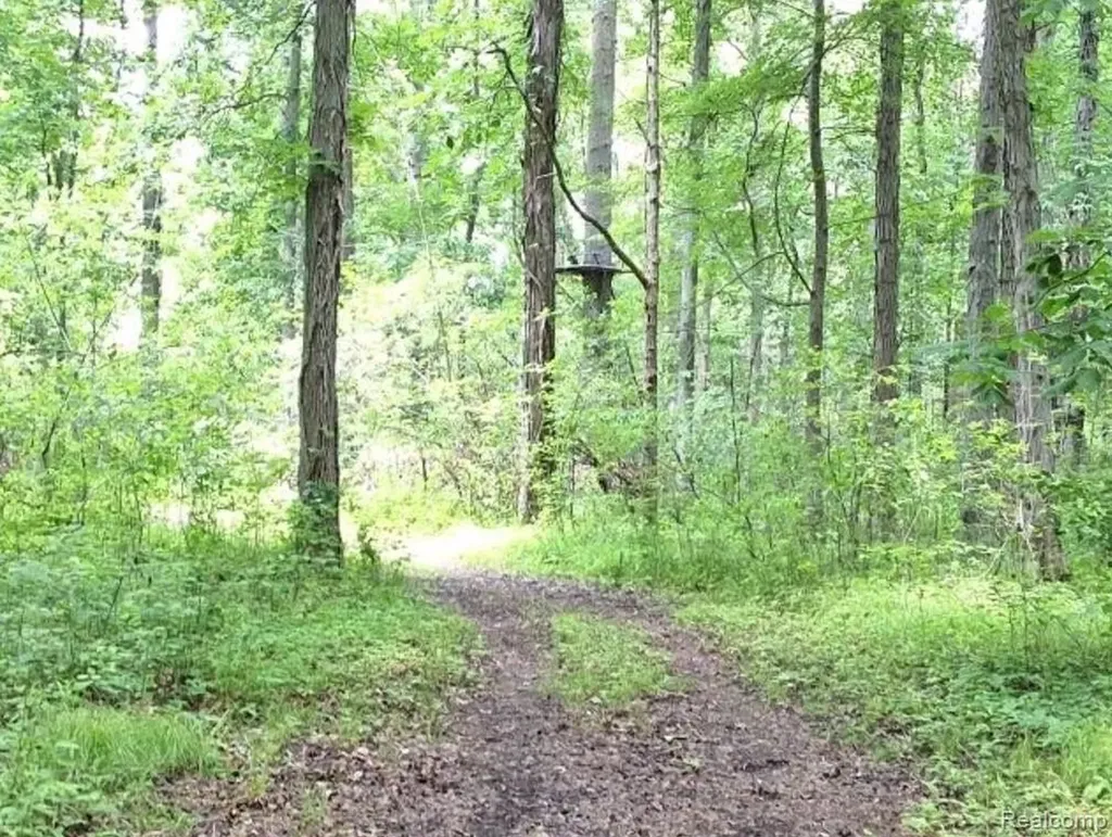 2040 Golf Course Road Clay Township MI 48028
