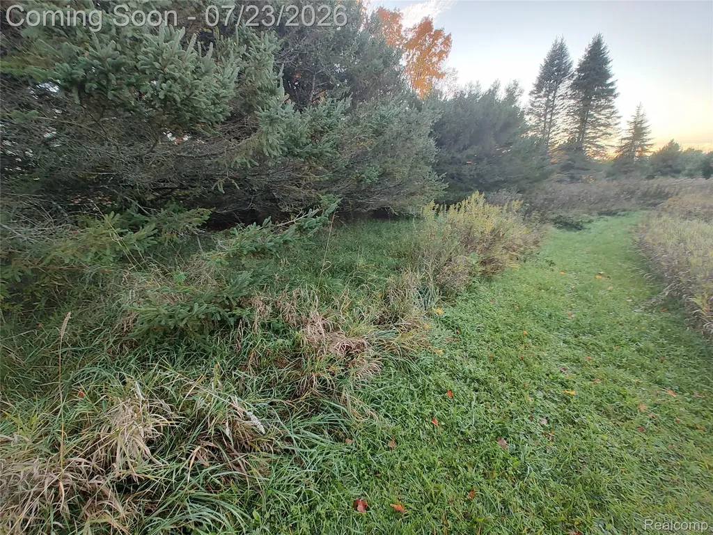 17792 22 Mile Road Sherman Township MI 49688
