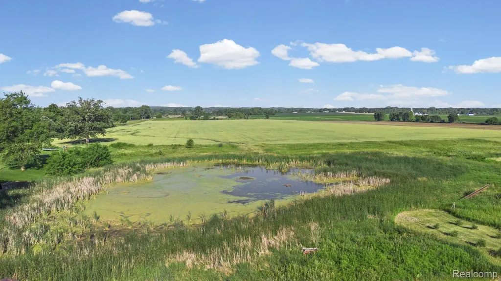 865 Brown City Road Imlay Township MI 48444