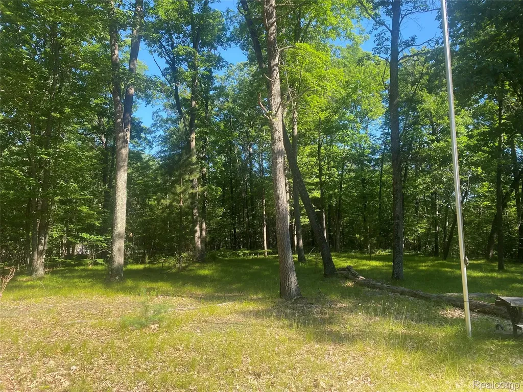 5107 Hunters Run Drive Richfield Township MI 48656