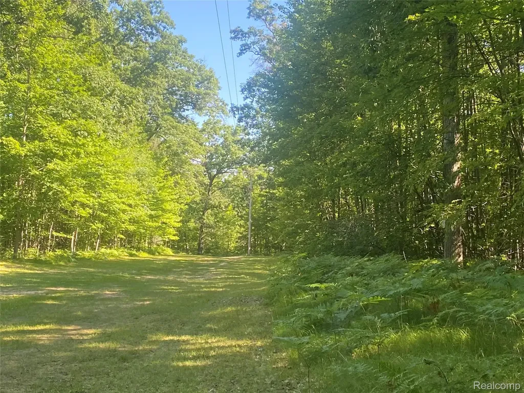 5107 Hunters Run Drive Richfield Township MI 48656