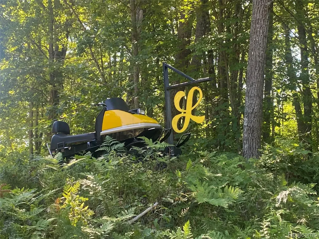 5107 Hunters Run Drive Richfield Township MI 48656