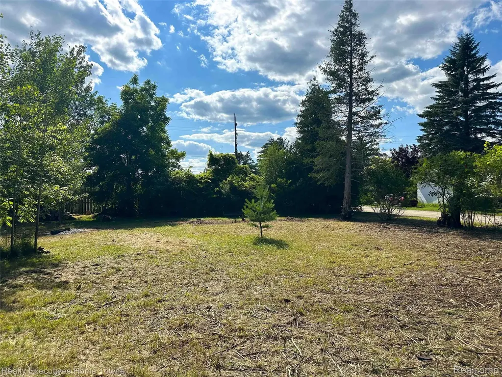 7266 Southwood Road Worth Township MI 48450
