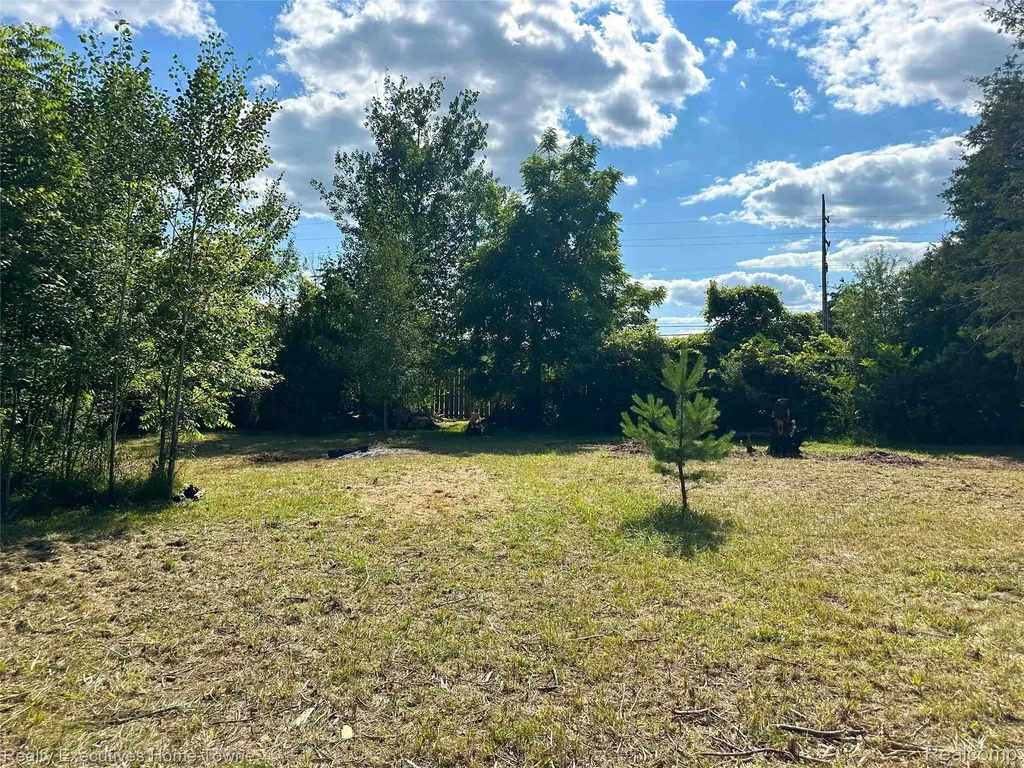 7266 Southwood Road Worth Township MI 48450