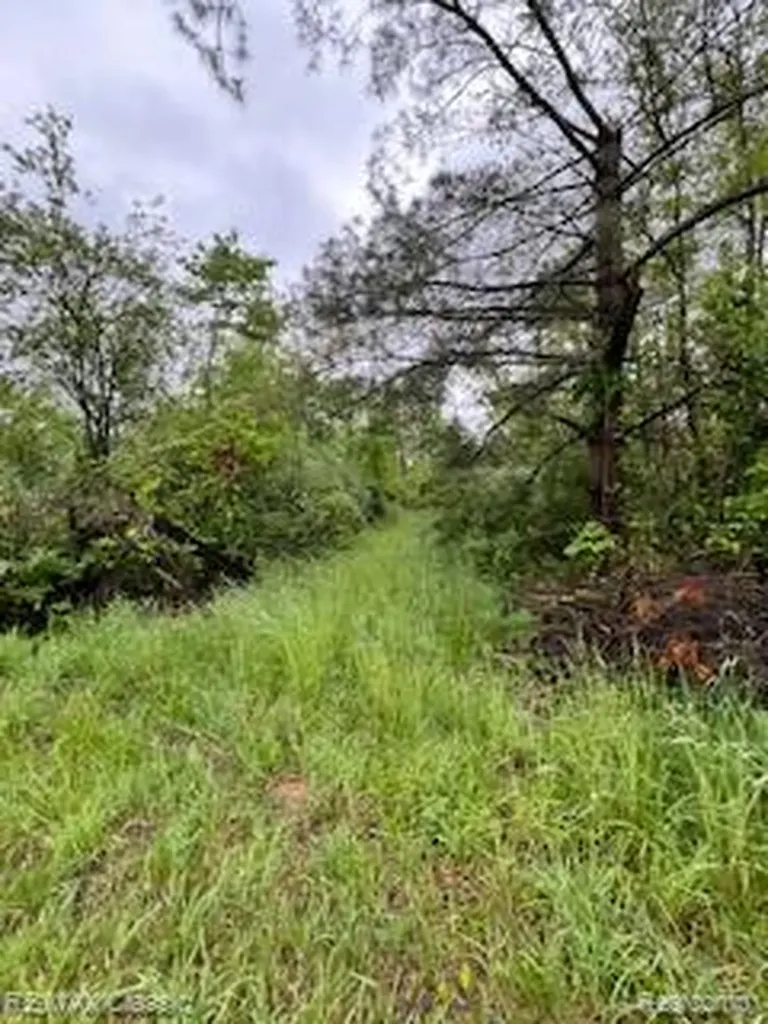 22575 12 Mile Road Pennfield Charter Township MI 49014