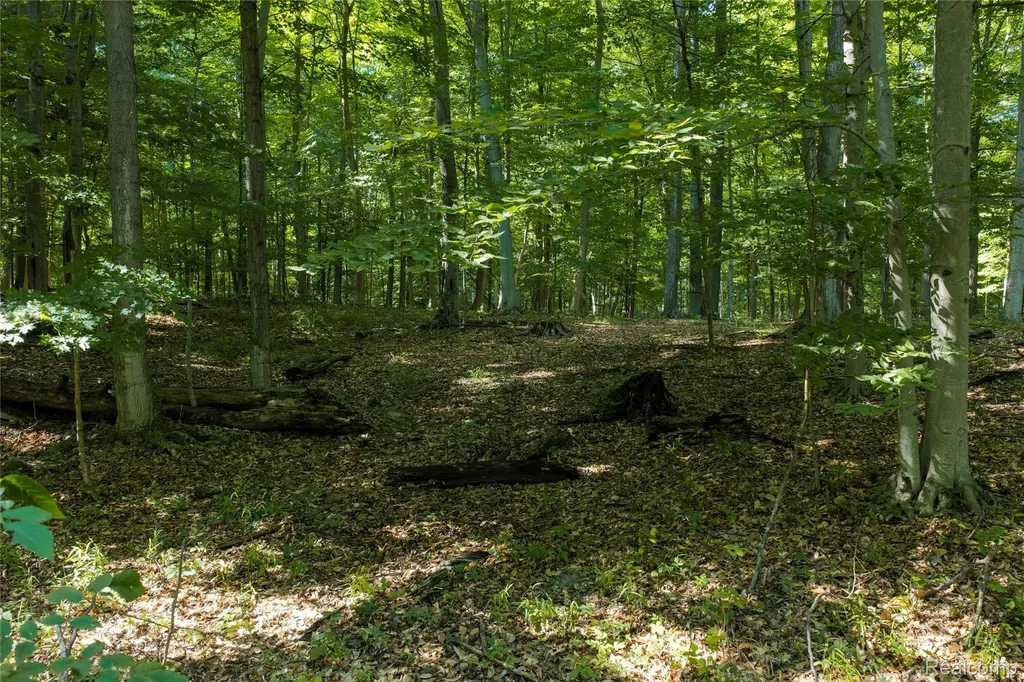 000 Harrington Lexington Township MI 48422