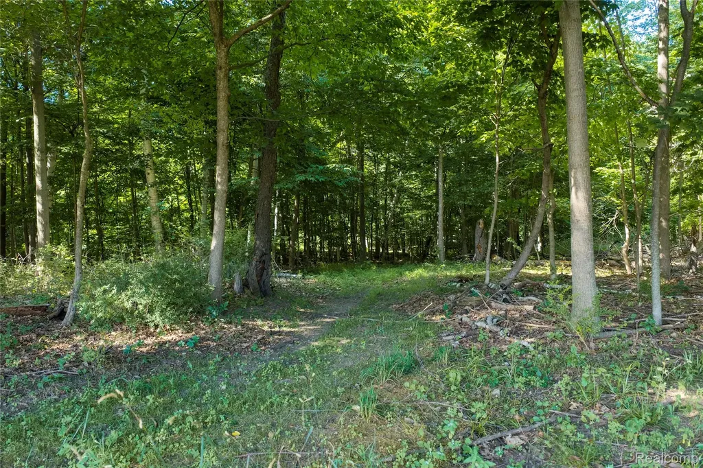 000 Harrington Lexington Township MI 48422