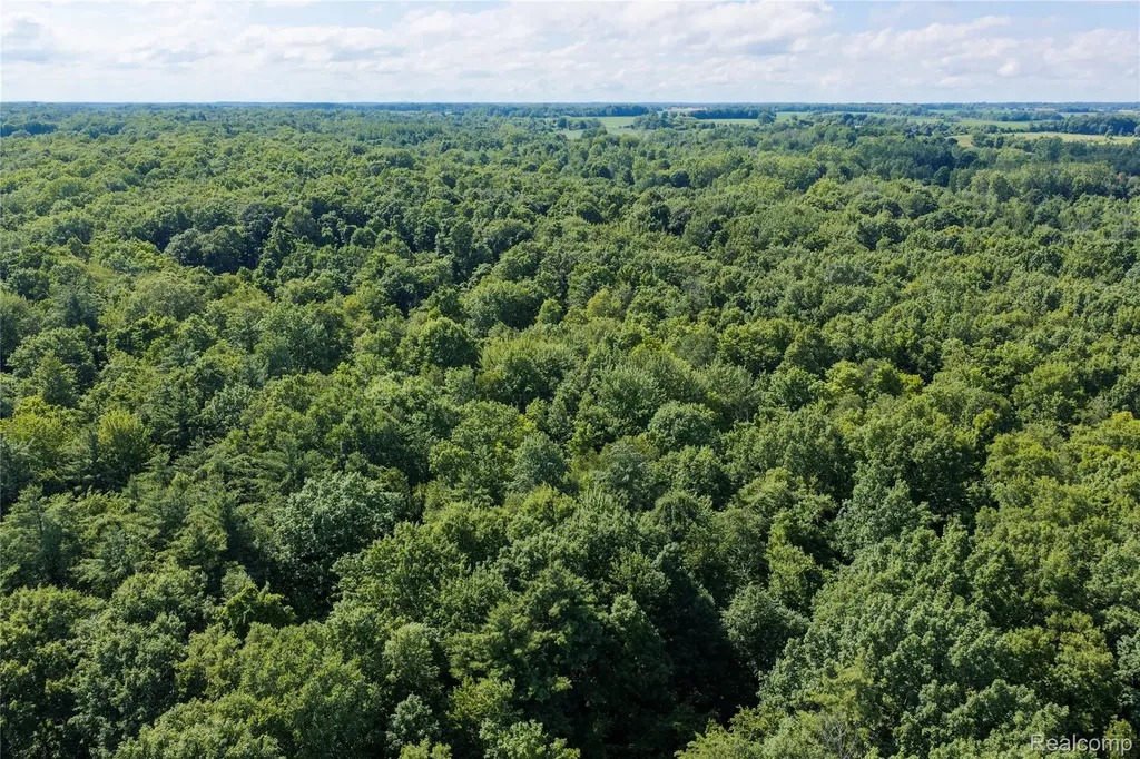000 Harrington Lexington Township MI 48422