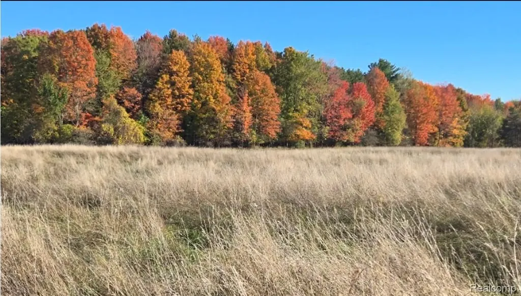 000 Harrington Lexington Township MI 48422