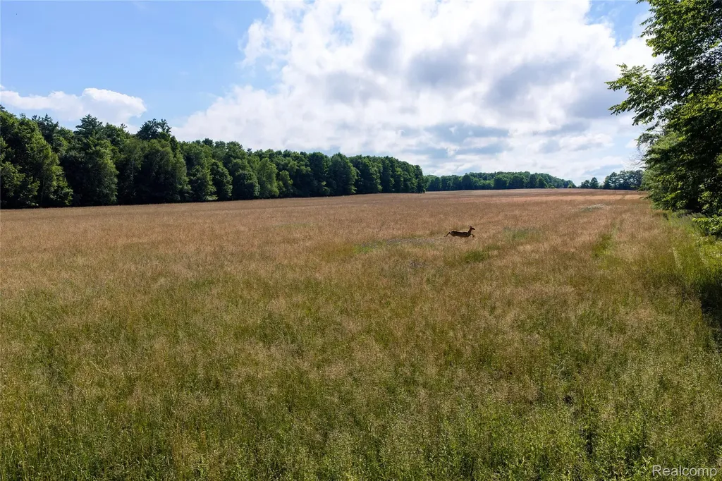 000 Harrington Lexington Township MI 48422