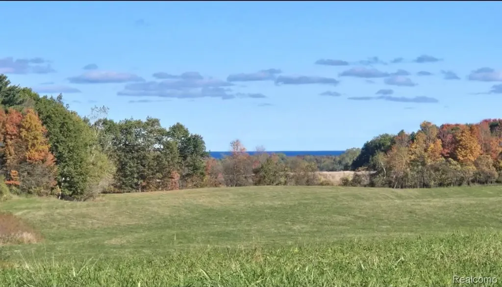 000 Harrington Lexington Township MI 48422