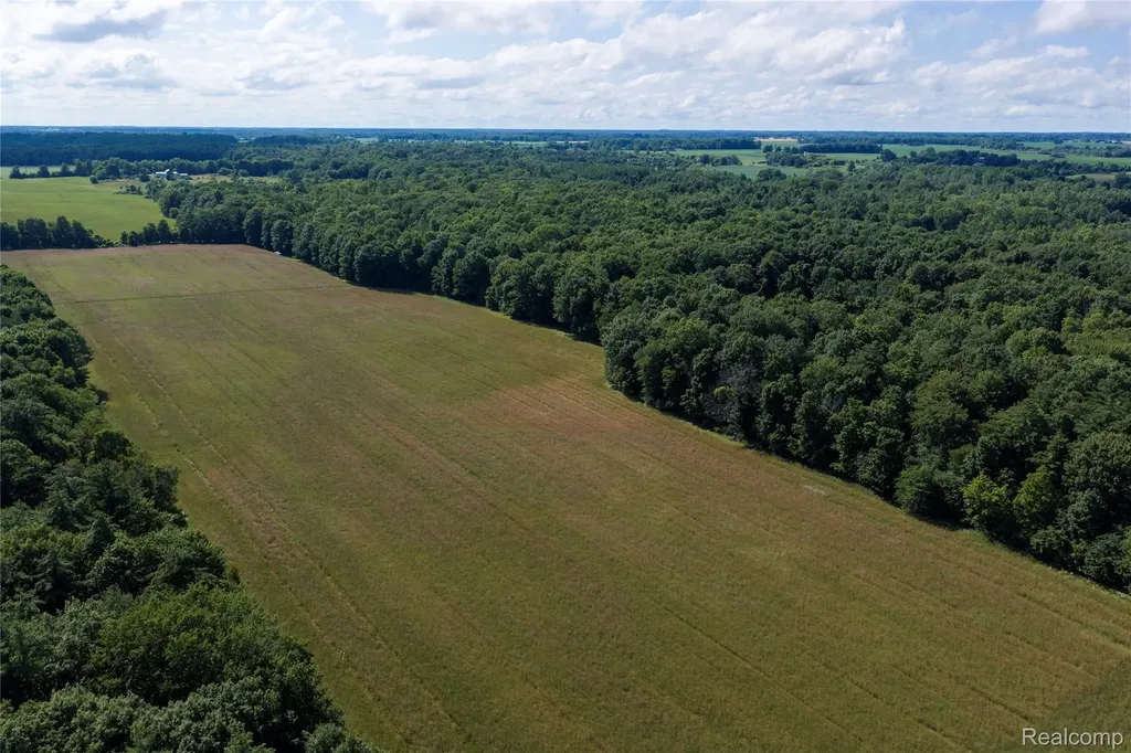 000 Harrington Lexington Township MI 48422