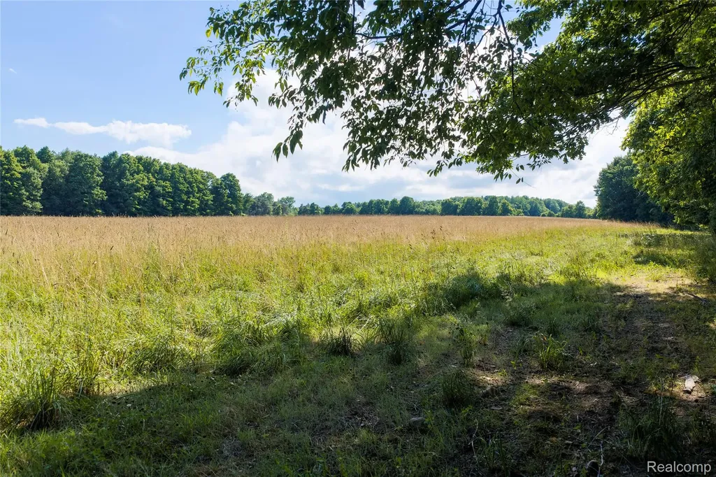 000 Harrington Lexington Township MI 48422