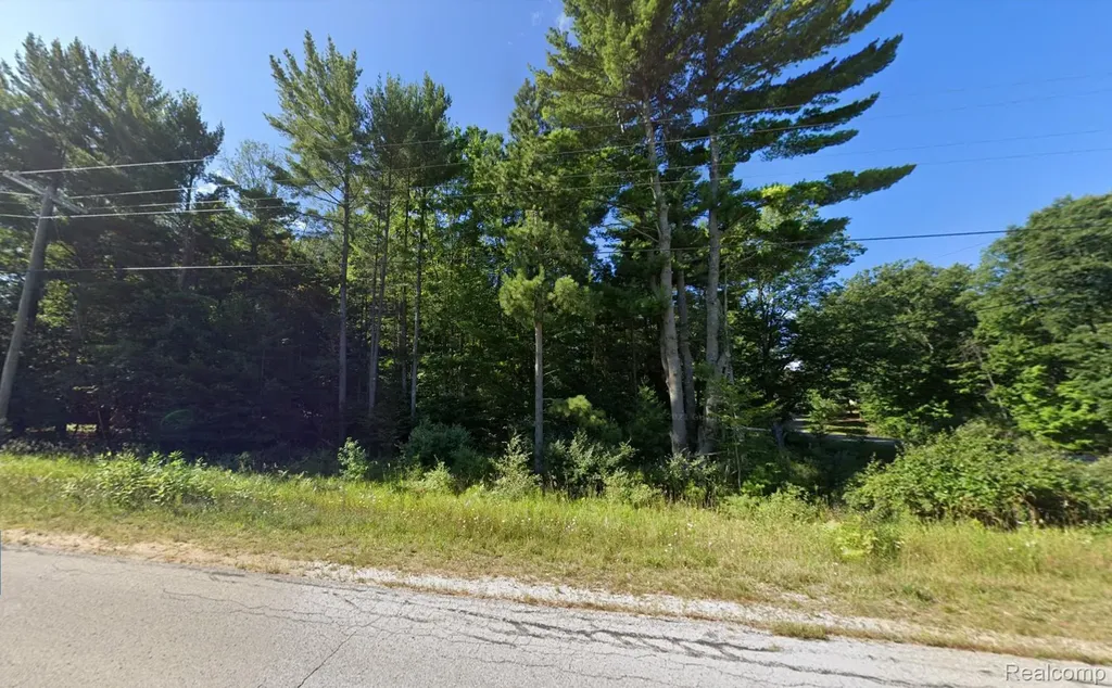 11374 Kaiser Lane Whitewater Township MI 49690