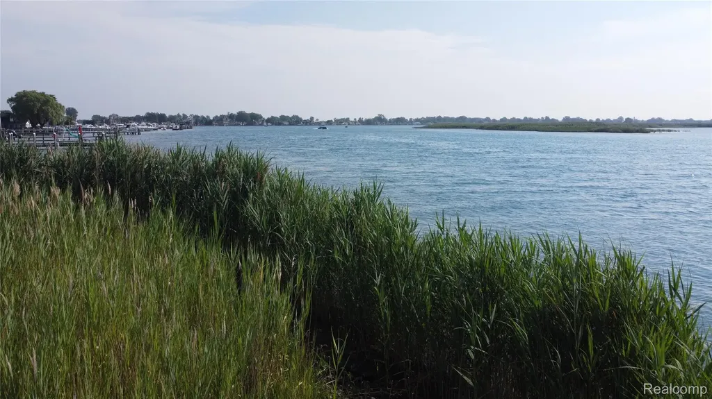 8350 Sni Bora Clay Township MI 48001