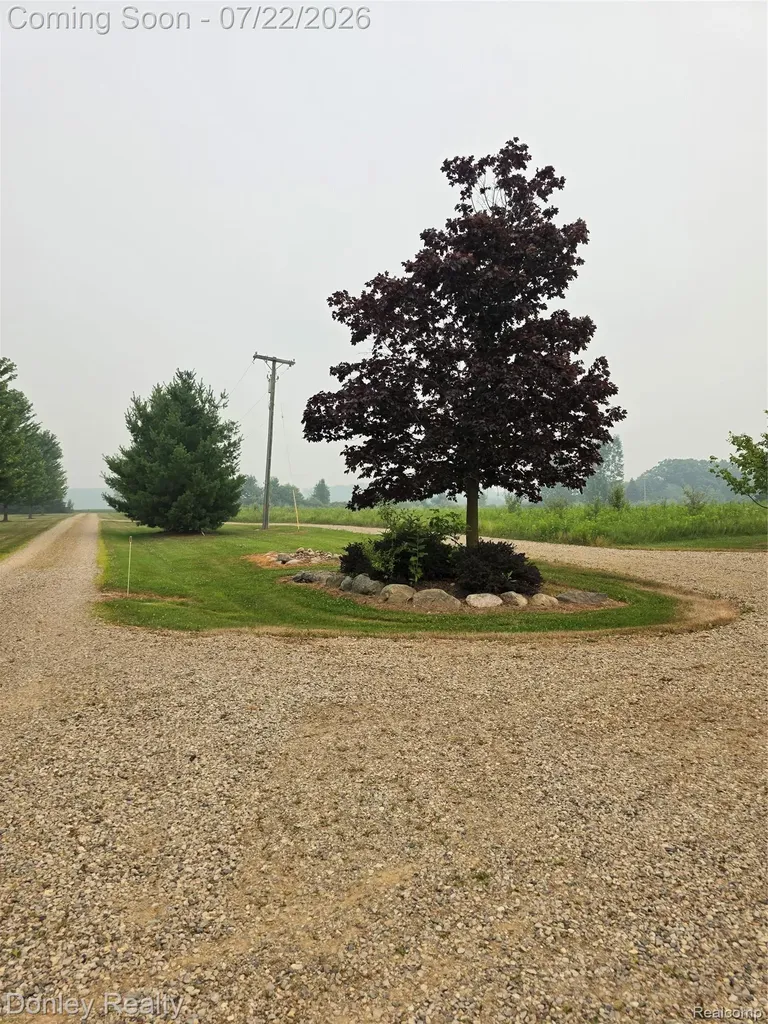 2343 Wheeling Road Goodland Township MI 48444