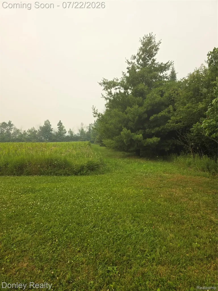 2343 Wheeling Road Goodland Township MI 48444