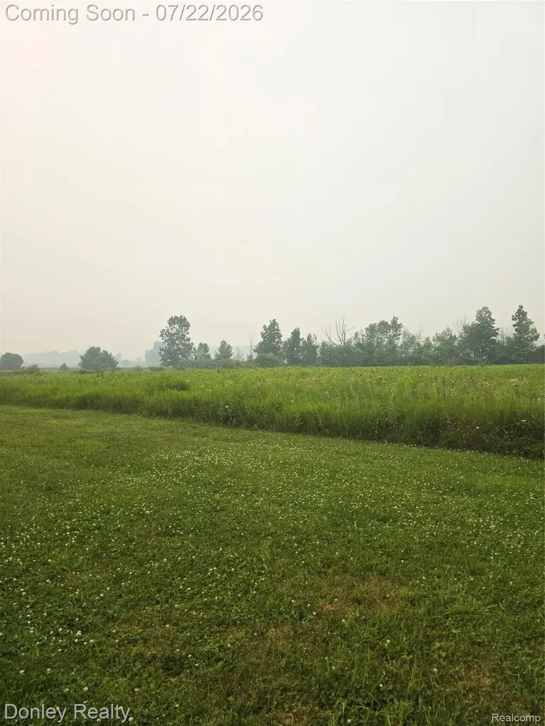 2343 Wheeling Road Goodland Township MI 48444