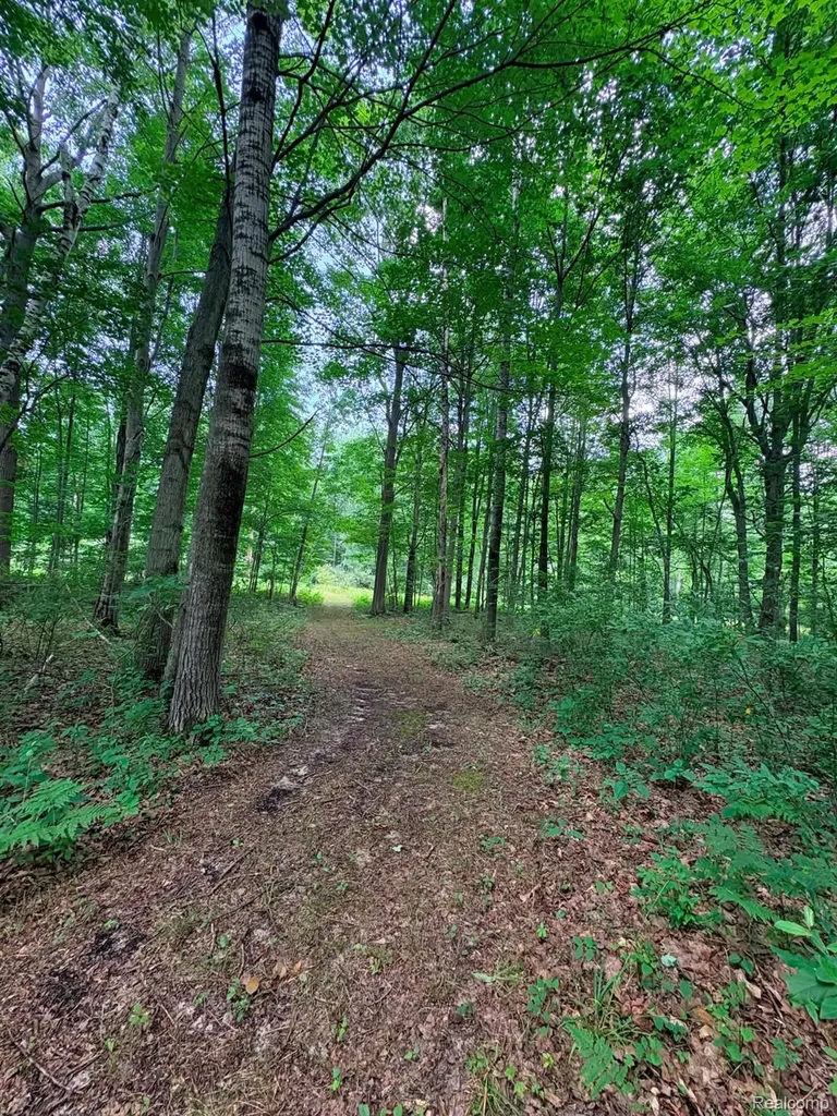 2159 E Bevens Road Wells Township MI 48723