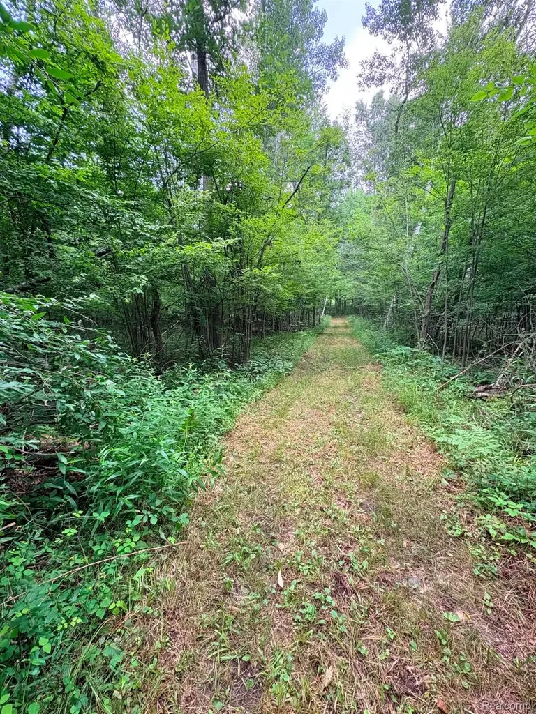 2159 E Bevens Road Wells Township MI 48723