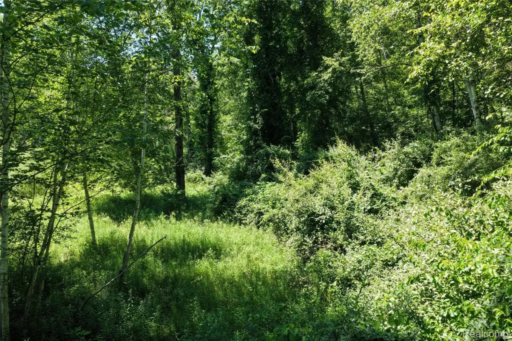 2898A Lakeshore Road Sanilac Township MI 48401