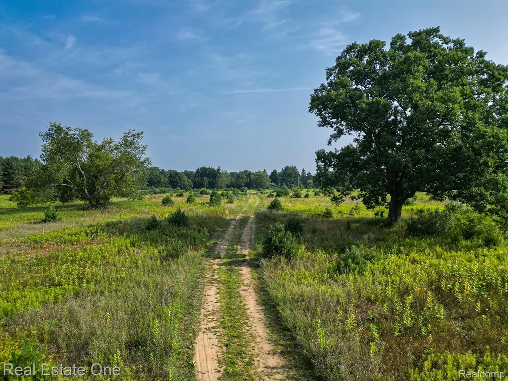 1915 N Hickory Ridge Road Highland Charter Township MI 48357