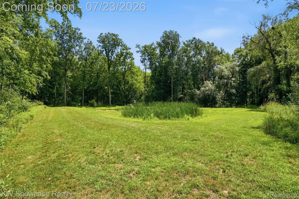 9725 Copper Ridge Drive Handy Township MI 48836