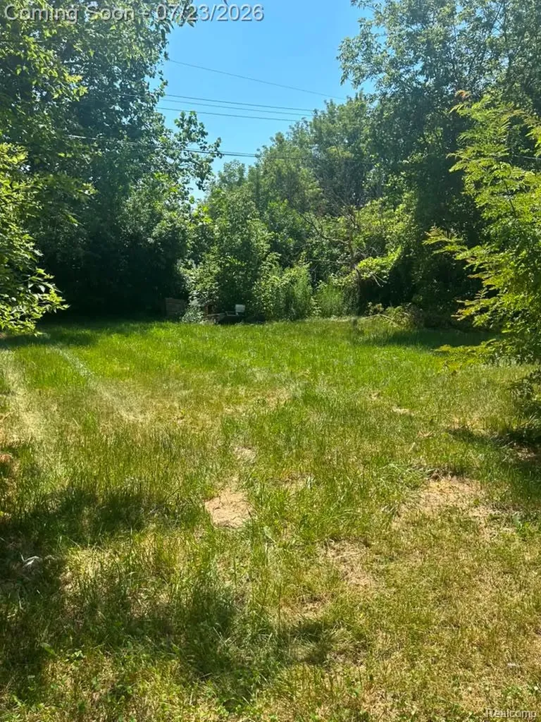 1201 Oleander Drive Mt. Morris Township MI 48458
