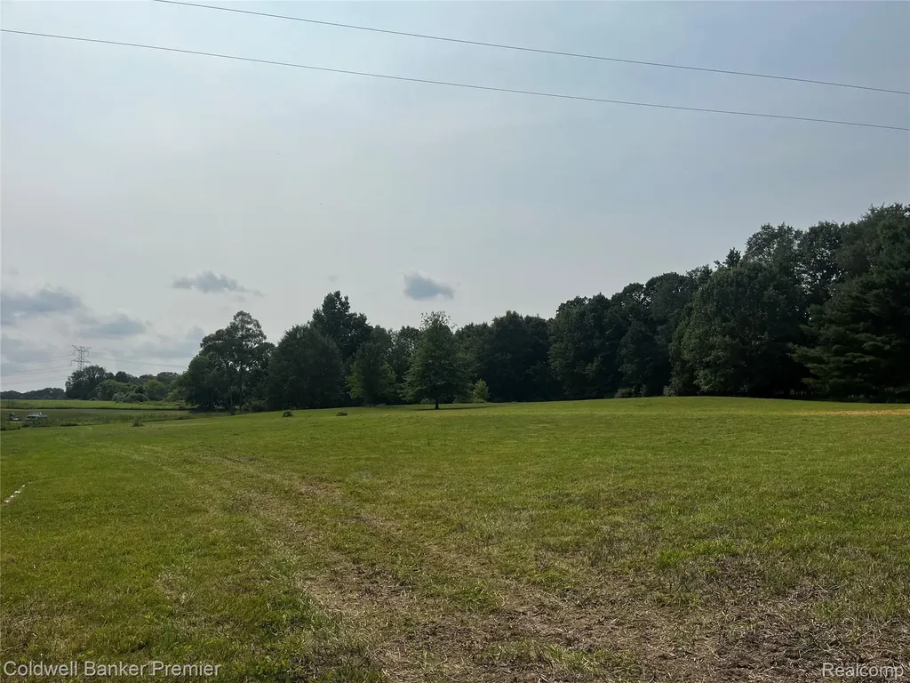 3975 Hagerman Road Addison Township MI 48367