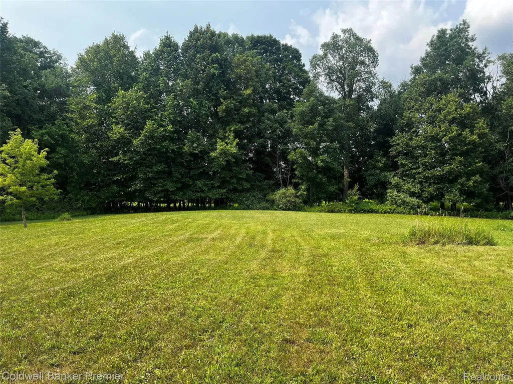 3975 Hagerman Road Addison Township MI 48367