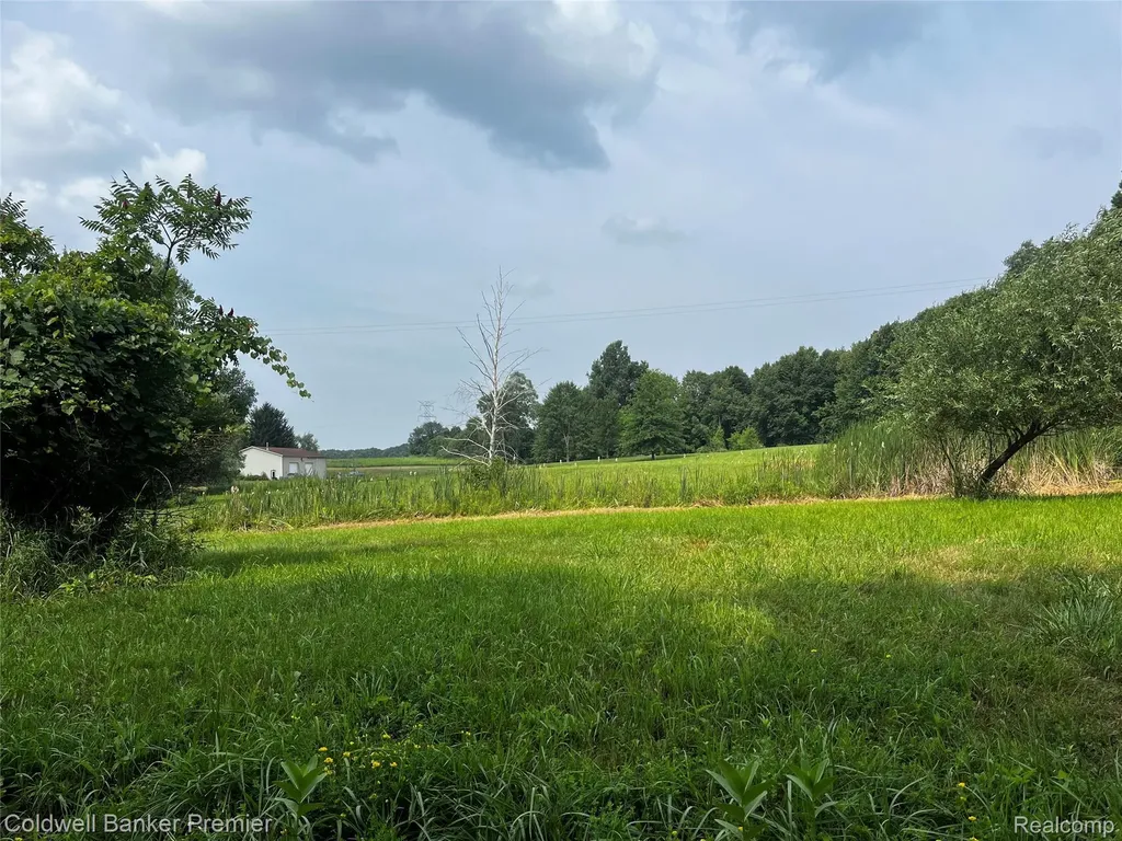 3975 Hagerman Road Addison Township MI 48367