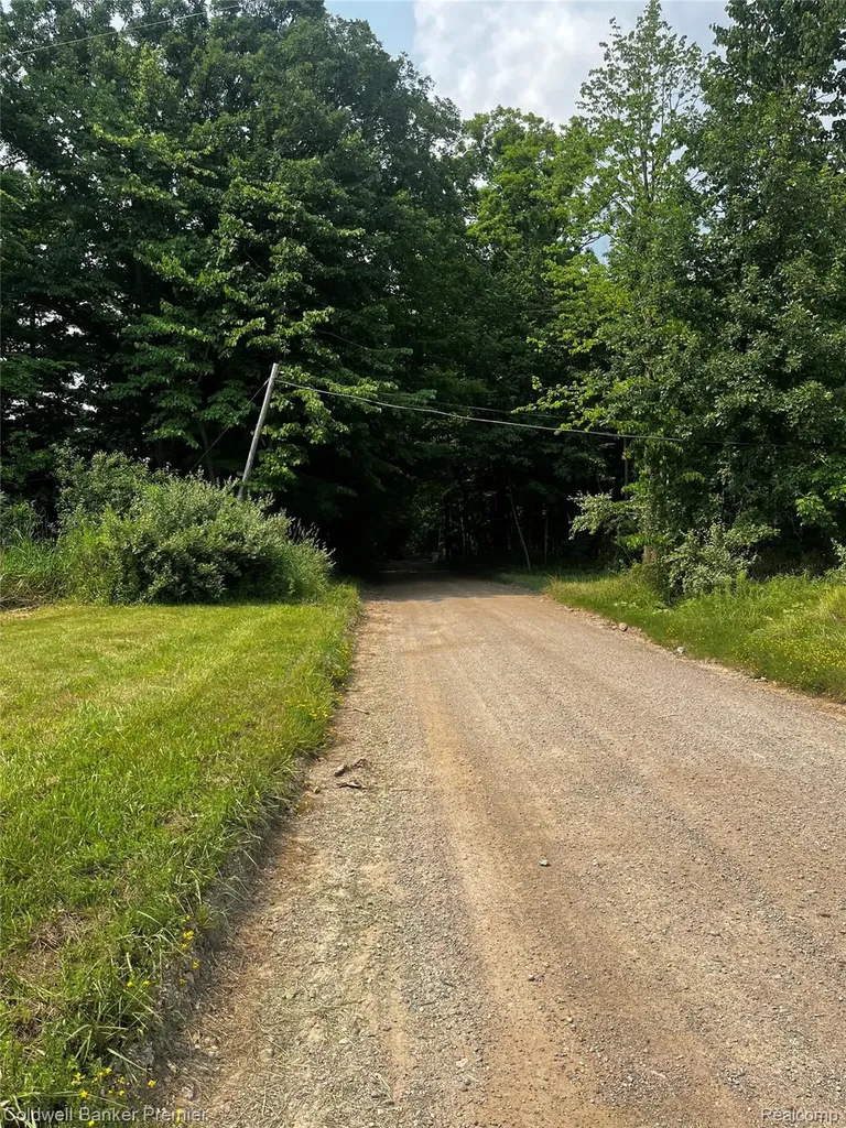 3975 Hagerman Road Addison Township MI 48367