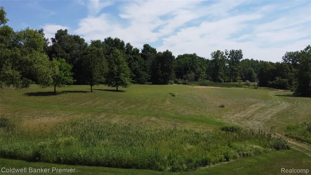 3975 Hagerman Road Addison Township MI 48367