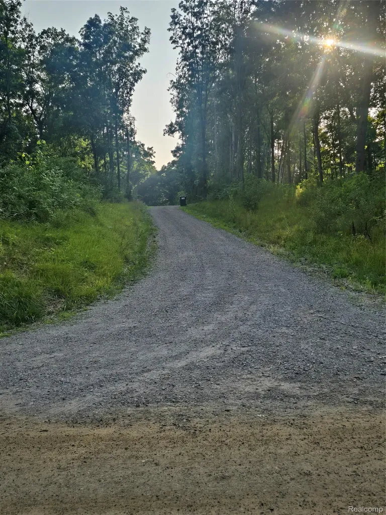 0 N Hughes Road Oceola Township MI 48843