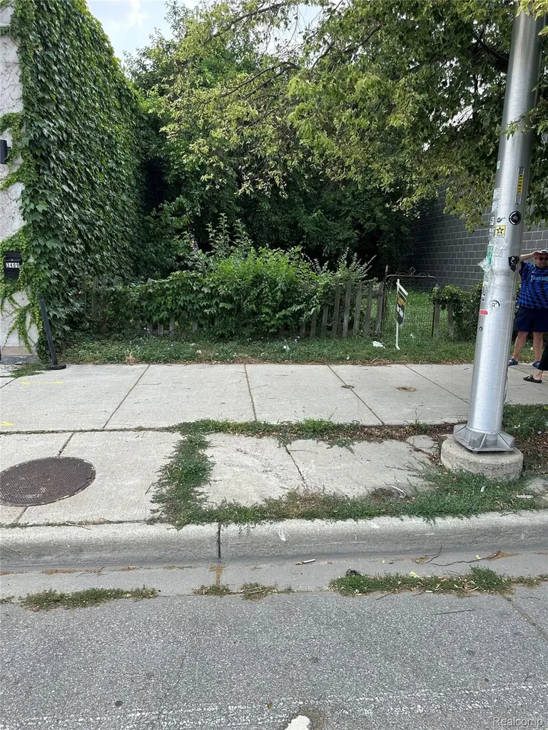 3423 Cass Avenue Detroit City MI 48201