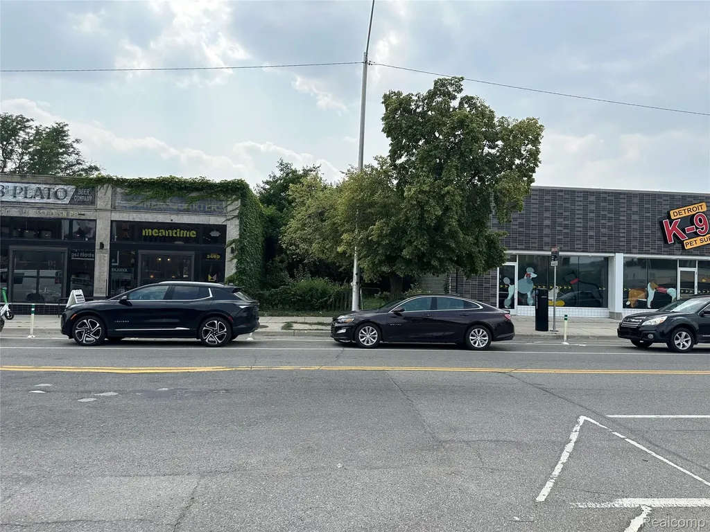 3423 Cass Avenue Detroit City MI 48201
