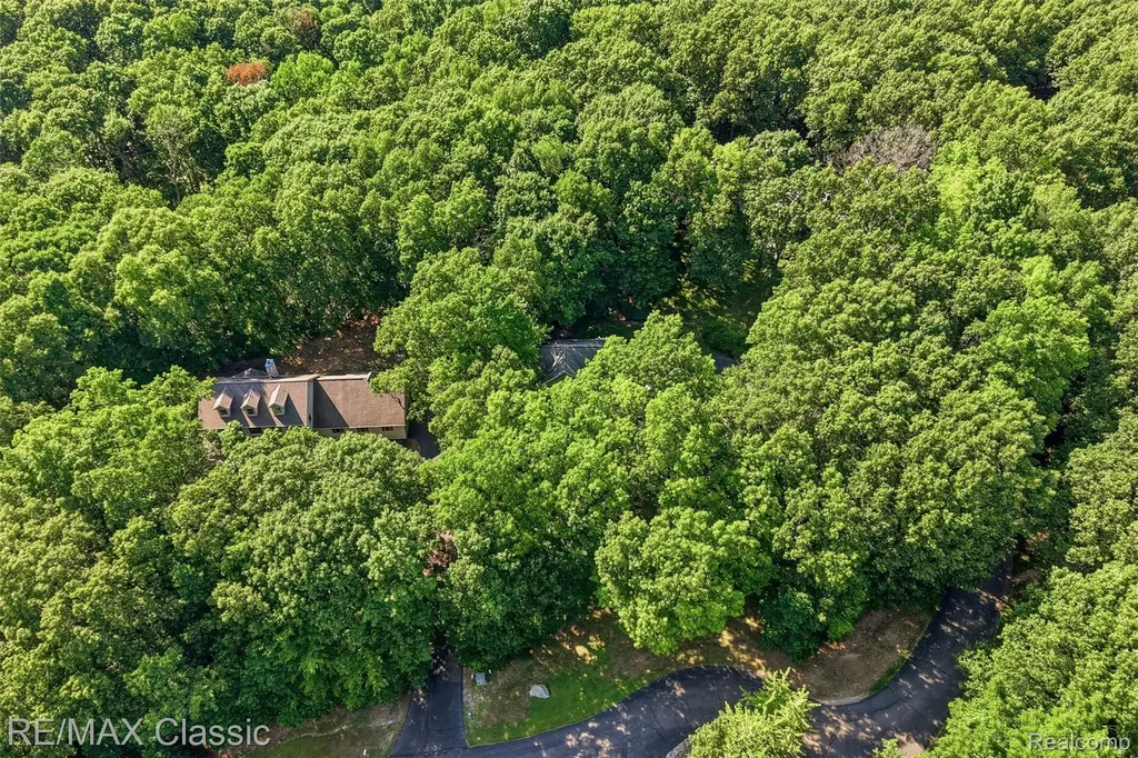 6303 Ridge Hollow Lane Springfield Charter Township MI 48350